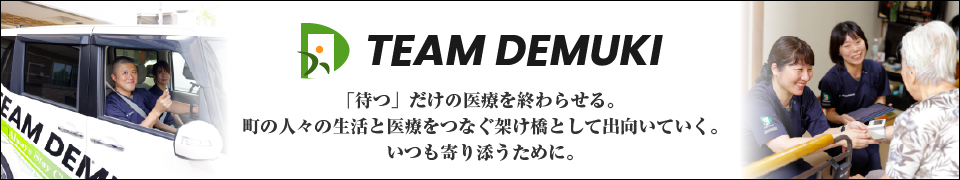 TEAM DEMUKI